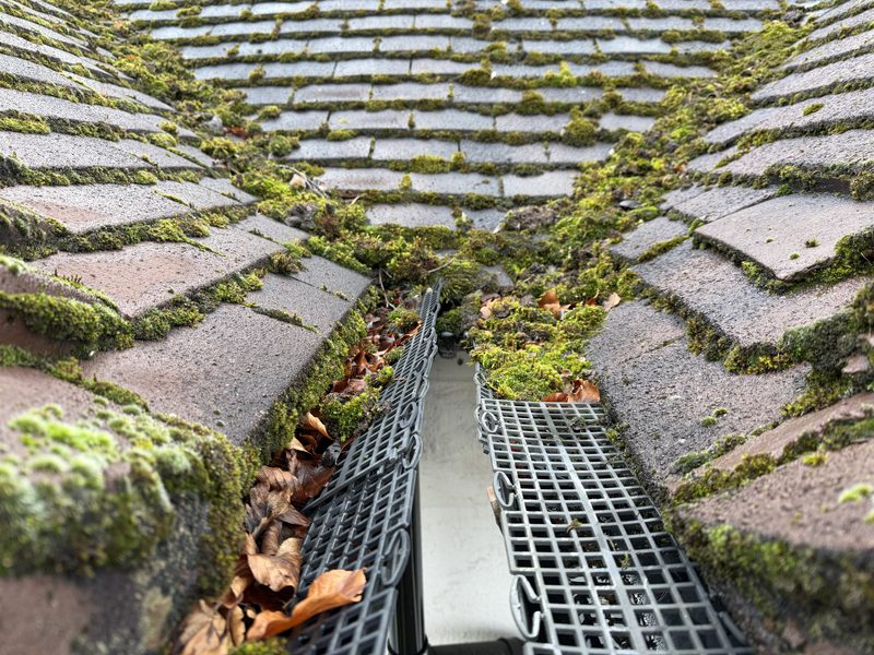 gutter guards with moss sitting on the top